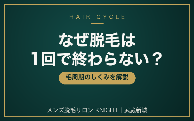 毛周期（ヘアサイクル）とは？メンズ脱毛が1回で終わらない理由｜メンズ脱毛サロンKNIGHT武蔵新城店