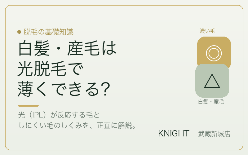 白髪・産毛はメンズ脱毛で薄くできる？光脱毛（IPL）が反応する毛の仕組み｜KNIGHT武蔵新城店