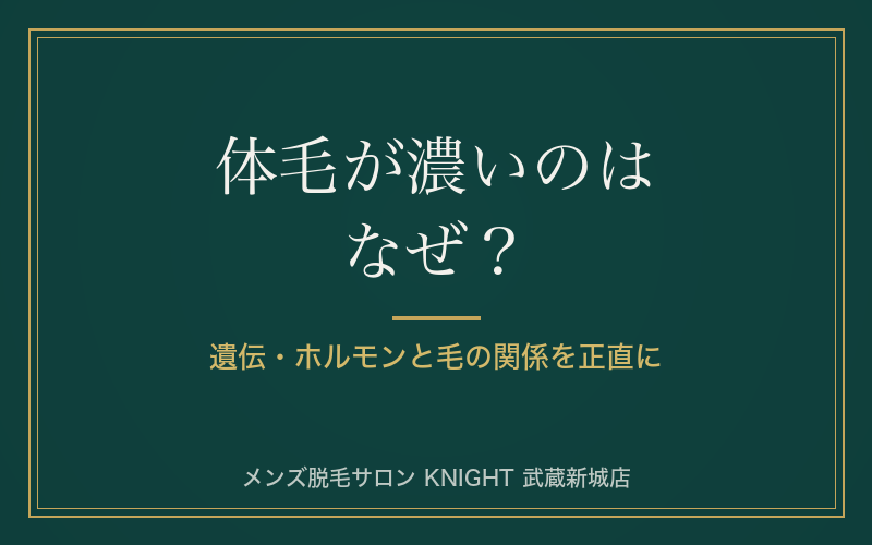 体毛が濃いのはなぜ？遺伝・ホルモンと男性の毛の関係を正直に解説｜KNIGHT武蔵新城店