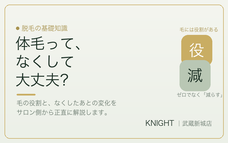 体毛の役割となくして大丈夫かの正直な話｜KNIGHT武蔵新城店